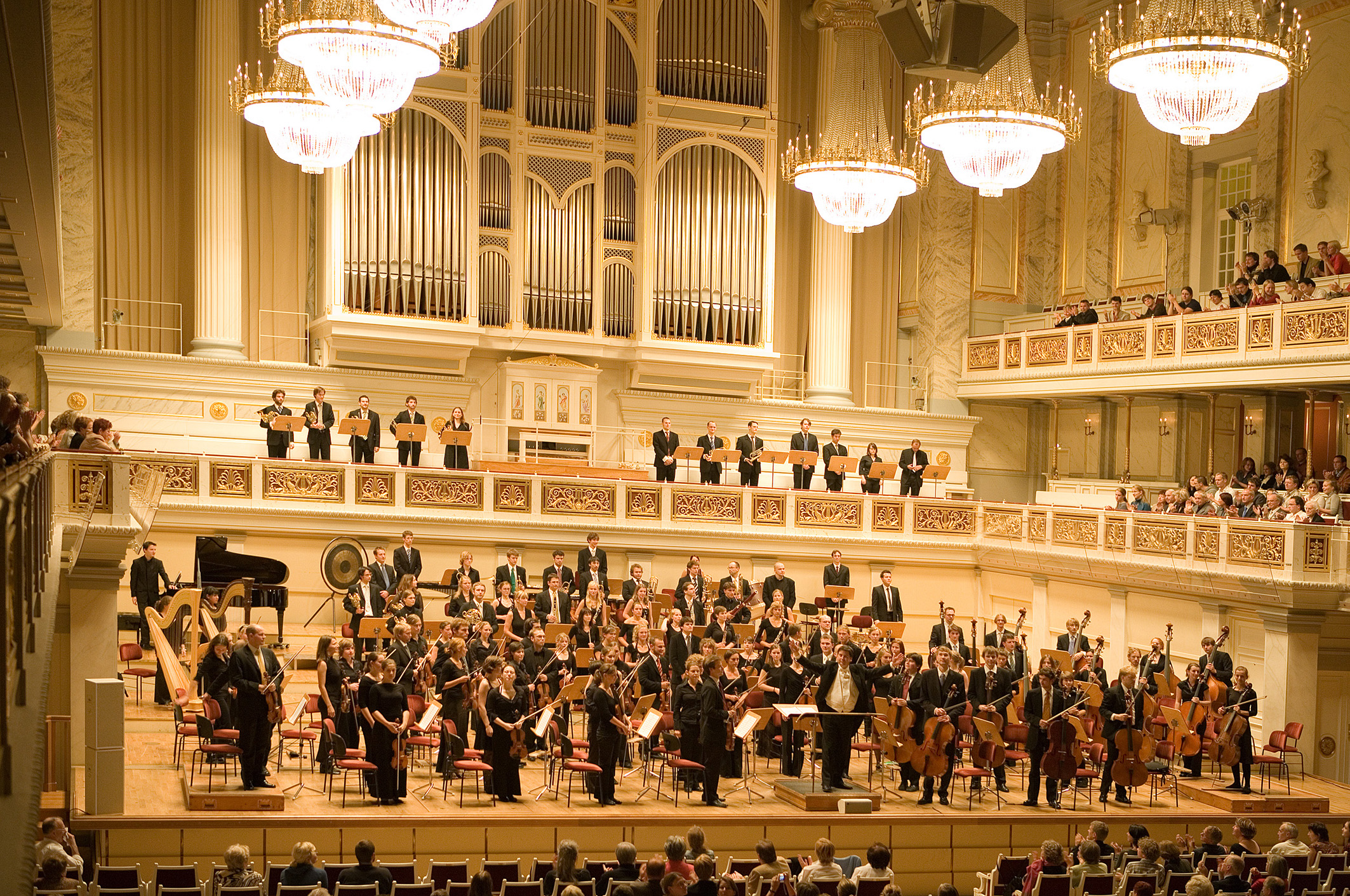 Musiker der jungen Philharmonie im Konzert