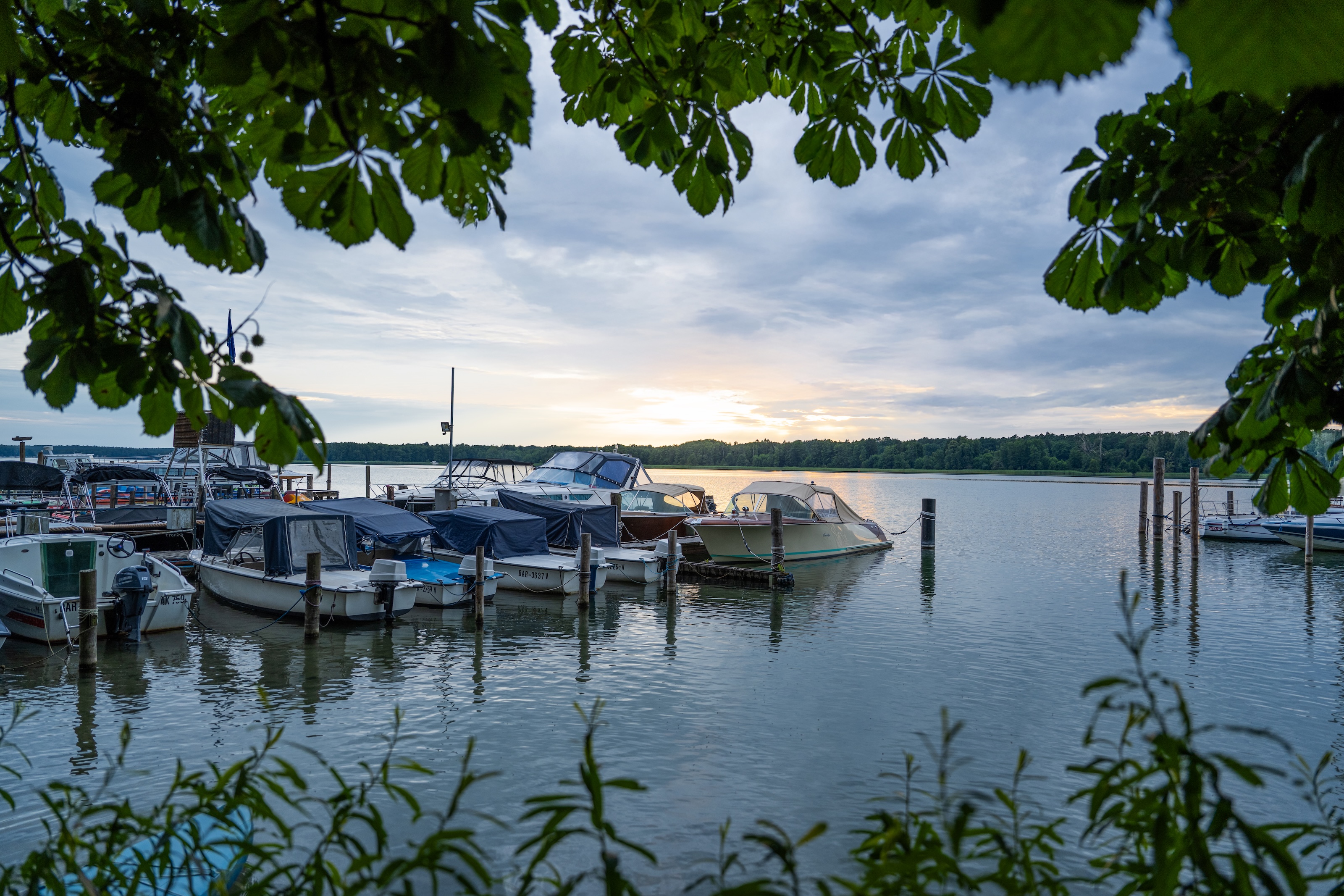 Werbellinsee