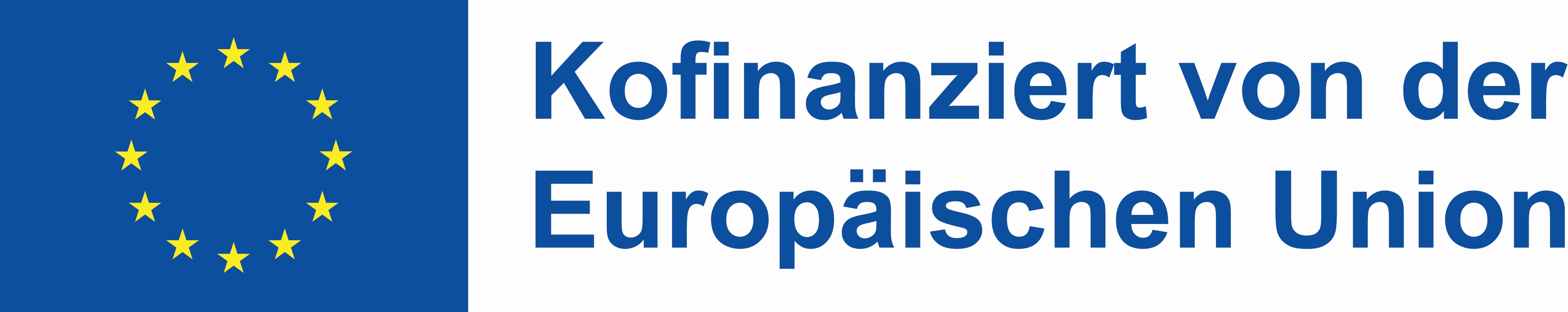 Logo mit Schriftzug: Kofinanziert von der Europaeischen Union